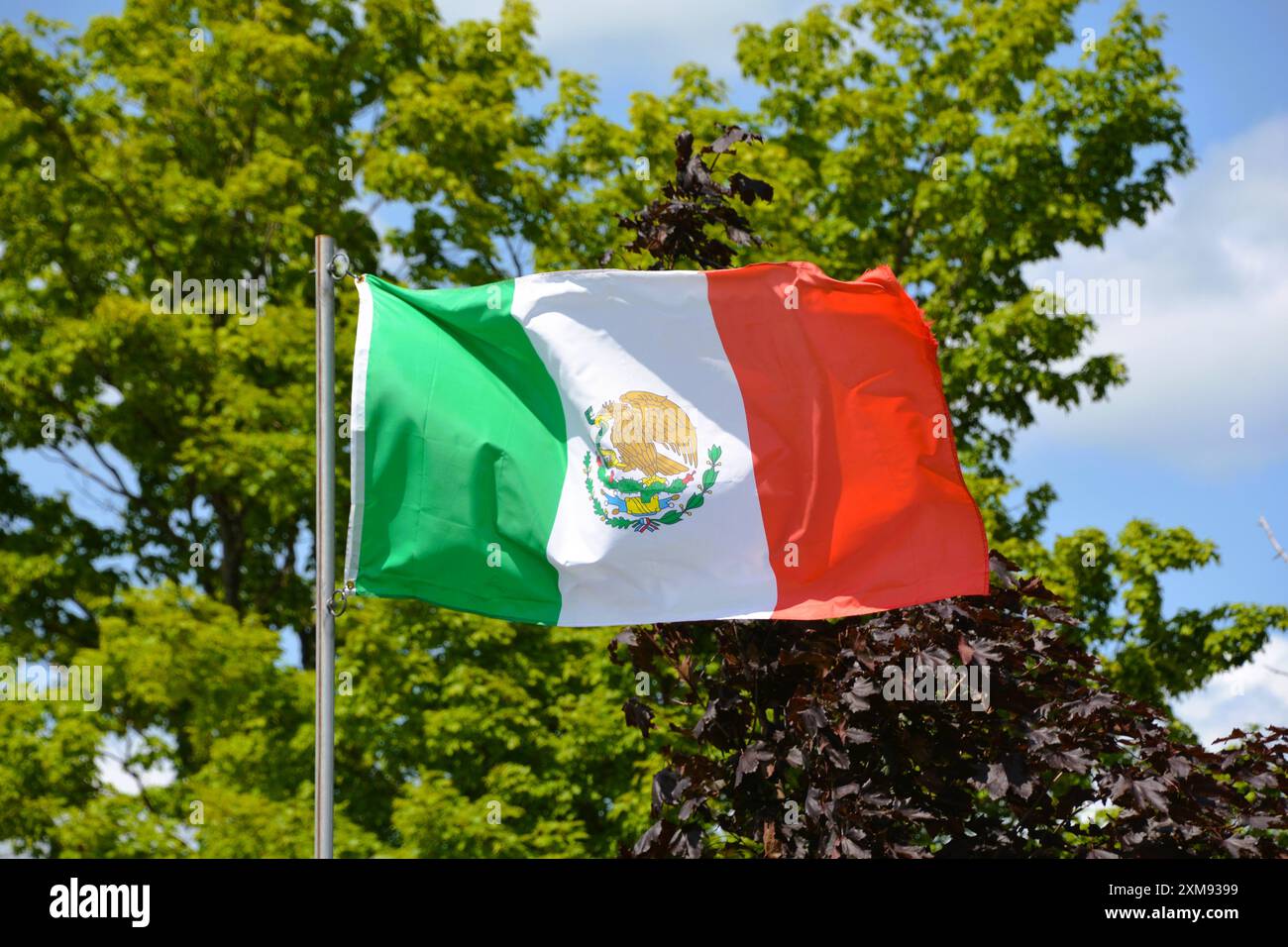 Die Nationalflagge von Mexiko fliegt an einem schönen Sommertag mit blauem Himmel und weißen Wolken einen Fahnenmast hoch. Stockfoto