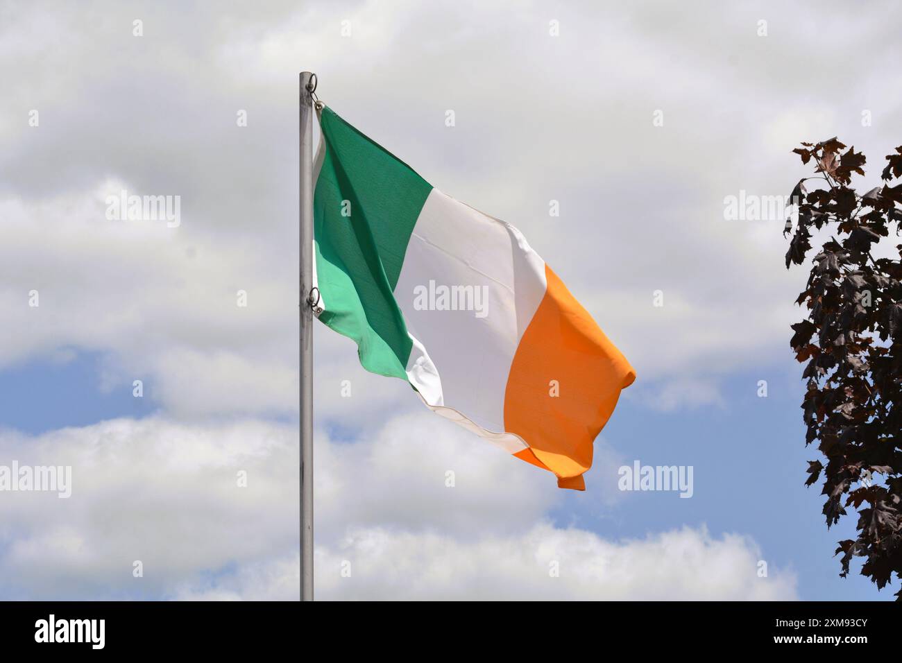 Die Nationalflagge Irlands fliegt an einem schönen Sommertag mit blauem Himmel und weißen Wolken einen Fahnenmast hoch. Stockfoto