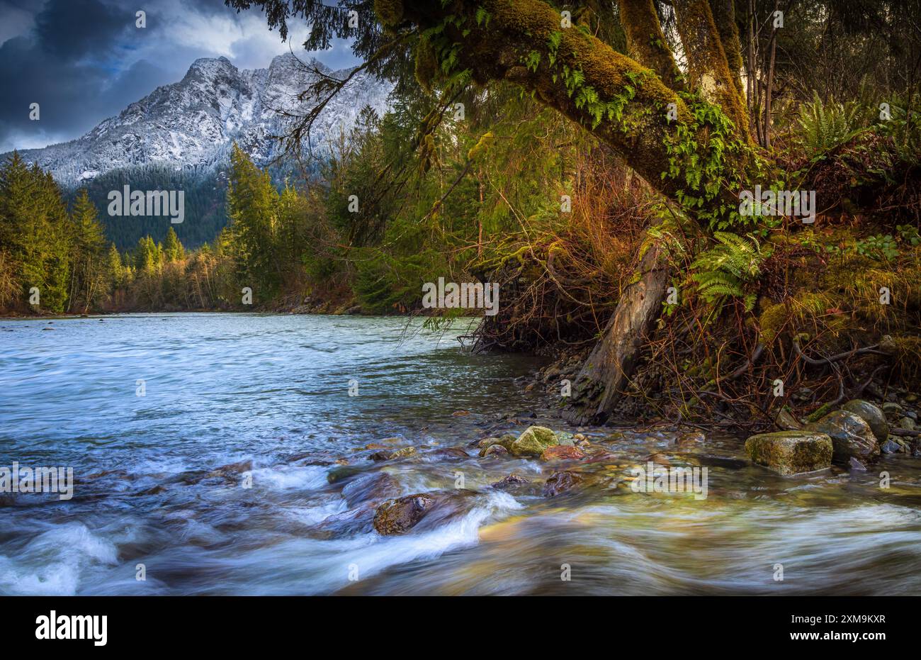 Die Middle Fork Snoqualmie Natural Resources Conservation Area (NRCA) wurde 2011 in North Bend (Washington) gegründet. Stockfoto