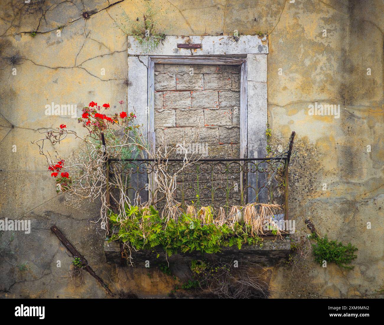Baufällige Gebäude in Lissabon, Portugals hügeliger Küstenhauptstadt. Stockfoto