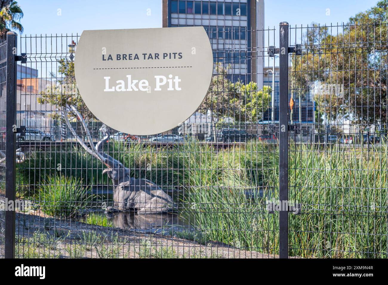 Los Angeles, KALIFORNIEN, USA: 26. Juli 2024: Die Lake Pit bei den La Brea Tar Pits zeigt eine Nachbildung eines Mammuts, der in Tar gefangen ist. Stockfoto