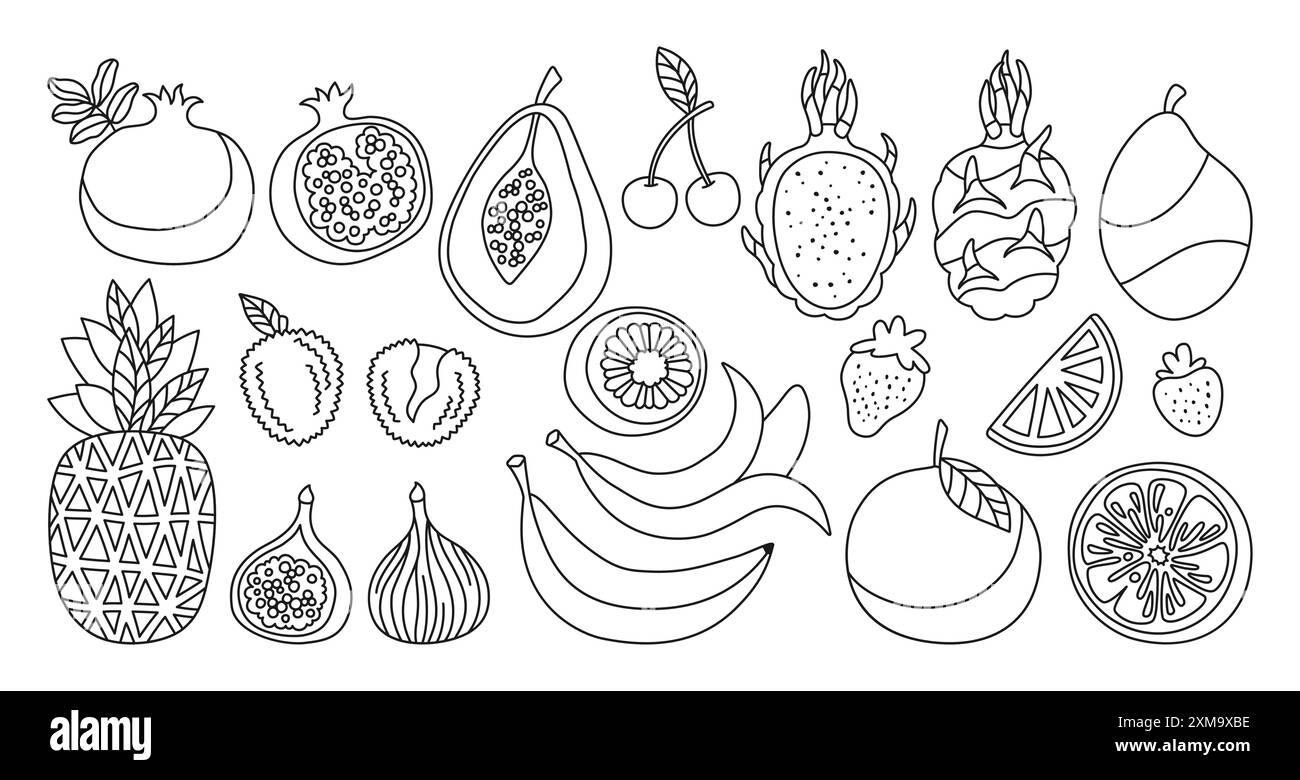 Früchte oder Beeren Kritzeleien-Set. In Scheiben geschnittene lineare Orange, Papaya Feigen Litchi Ananas, Drachenfrüchte zeichnen trendige Kunst aus. Saftige Kiwi, Mango Banana Granatapfel, Erdbeerkirsche Linie Vektor gezeichnet Stock Vektor