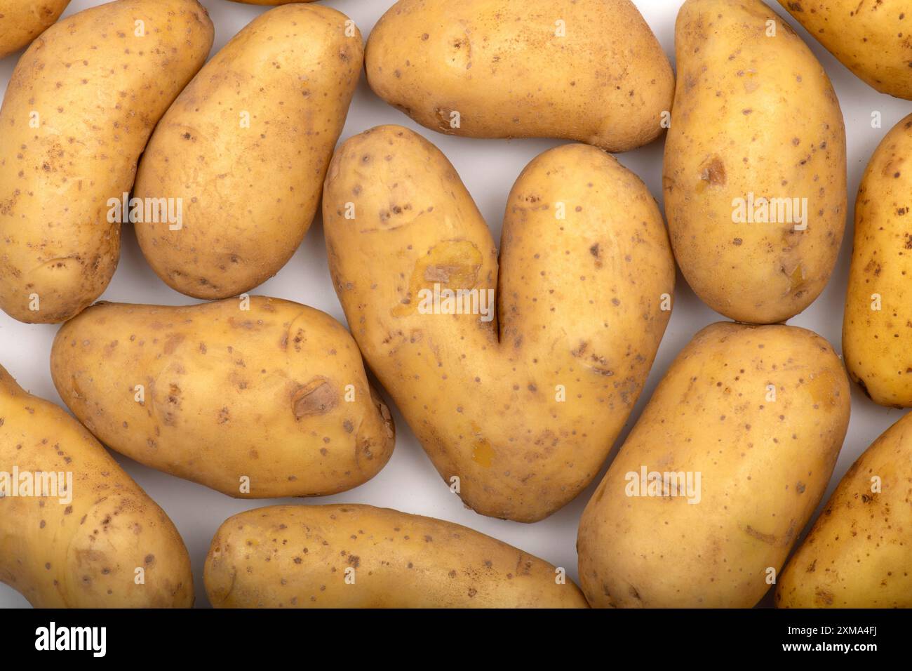 Kartoffeln, herzförmige Kartoffel, Herz, Studio-Shot, Stuttgart, Baden-Württemberg, Deutschland Stockfoto