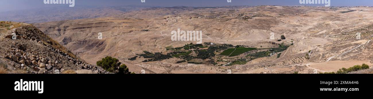 Blick auf den heiligen Olivenbaum und Olivenhaine vom Mount Nebo, Jordanien Stockfoto