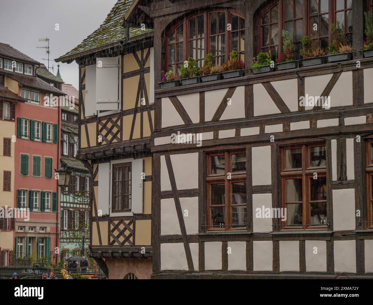 Fachwerkhäuser mit vielen Fenstern und Pflanzen, aufgenommen an einem regnerischen Tag, straßburg, frankreich Stockfoto