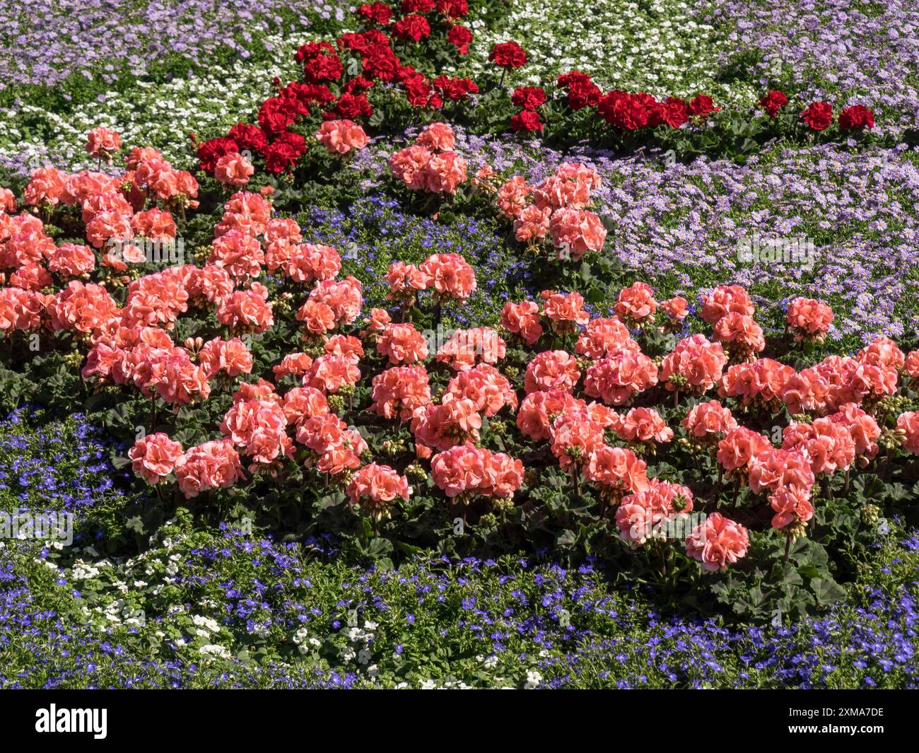 Eine farbenfrohe Blumenwiese mit verschiedenen Arten von Blumen in leuchtenden Farben im Frühling, enkhuizen, niederlande Stockfoto