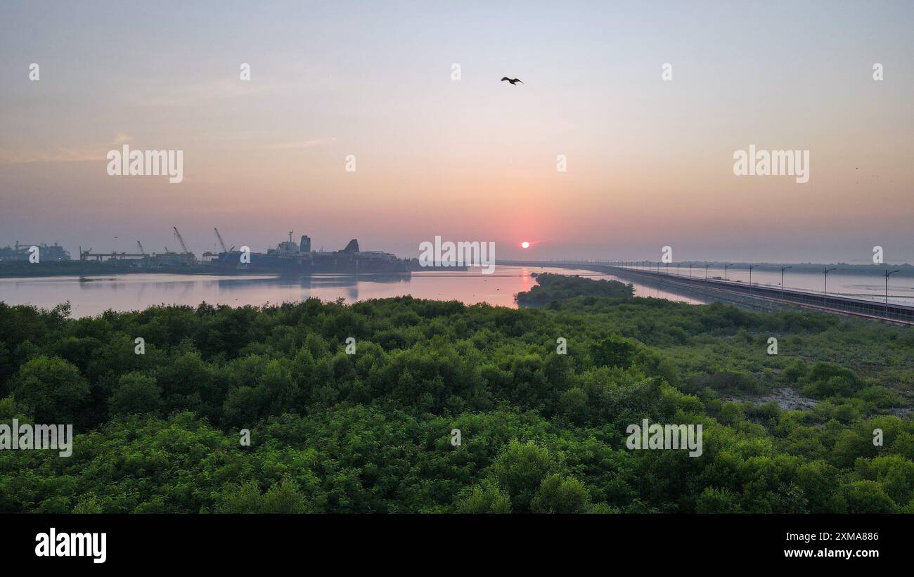 (240727) -- PEKING, 27. Juli 2024 (Xinhua) -- ein Luftdrohnenfoto vom 16. Juli 2024 zeigt einen Blick auf Mangrovenwälder im Küstengebiet nahe dem Projekt „Java 7“ in Serang, Provinz Banten, Indonesien. Die großen Mangrovenflächen entlang der indonesischen Küste spielen eine wichtige Rolle bei der Reinigung des Meerwassers, der Verhinderung von Wind und Wellen, der Fixierung und Speicherung von Kohlenstoff und der Erhaltung der Artenvielfalt. Chinas CHN Energy und Indonesian National Electricity Company bauten gemeinsam das Projekt „Java 7“ im westlichen Teil der Insel Java. Das CHN Energy Java Power Plant spielte eine führende Rolle in der Entwicklung Stockfoto