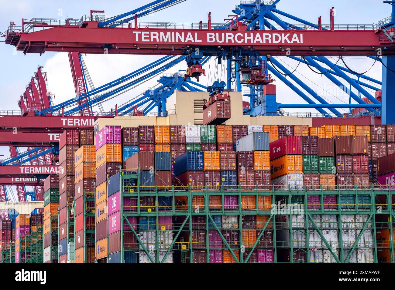 HMM Nuri Containerfrachter am HHLA Containerterminal Burchardkai im Waltershofer Hafen, beladen, Kapazität bis 16000 TEU, Hamburg Stockfoto