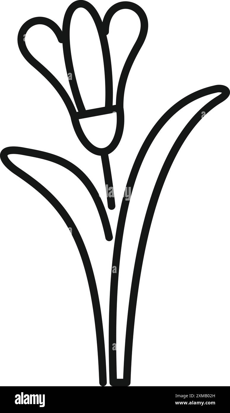 Einfache und minimale Strichdarstellung einer Krokusblüte, perfekt für Projekte im Zusammenhang mit Frühling, Natur und Gartenarbeit Stock Vektor