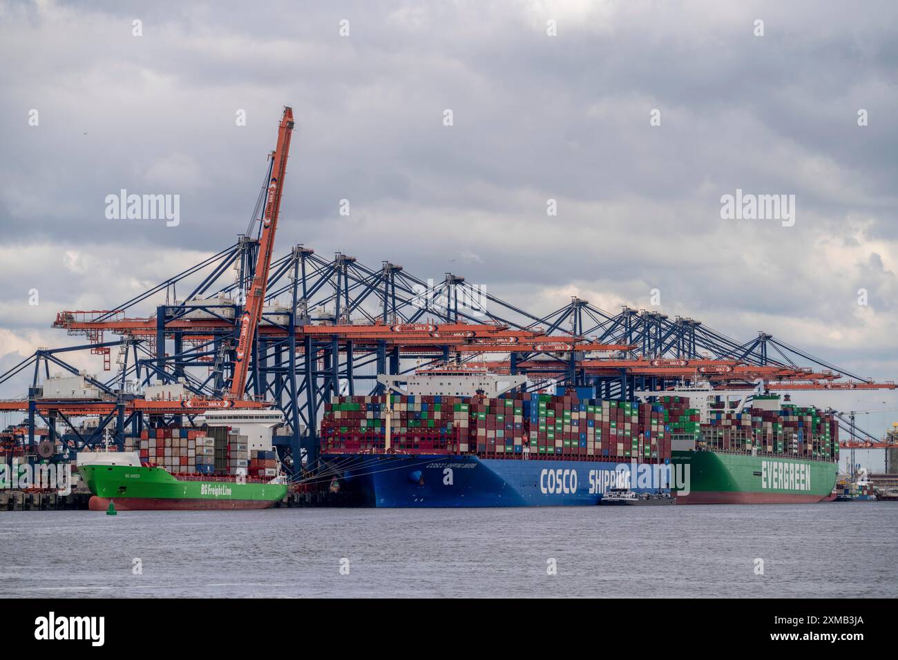 Euromax Container Terminal, BG Green Container Feedership, Containerfrachter Cosco Shipping Universe, vorne und immer genial, Evergreen Reederei Stockfoto