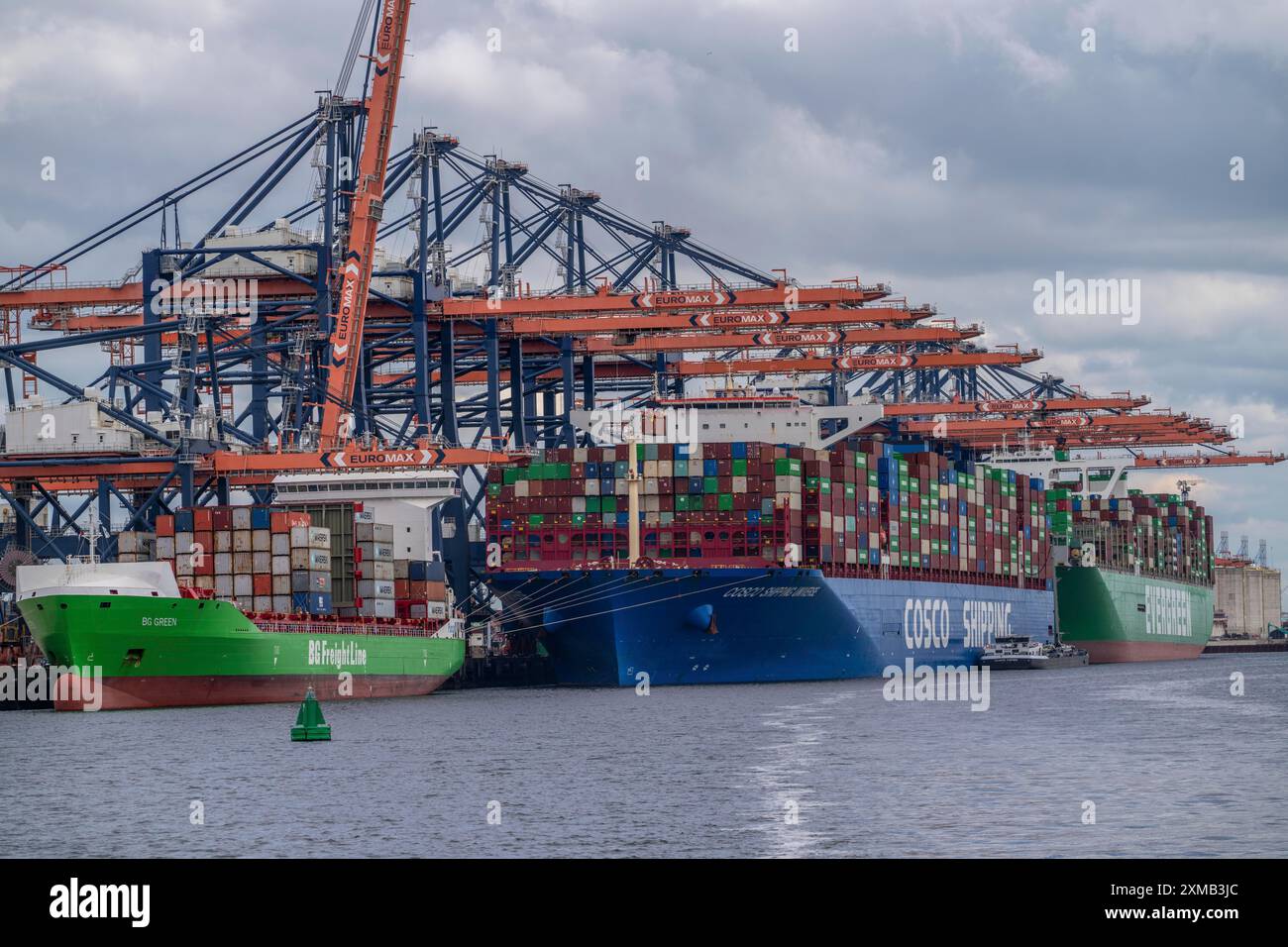 Euromax Container Terminal, BG Green Container Feedership, Containerfrachter Cosco Shipping Universe, vorne und immer genial, Evergreen Reederei Stockfoto