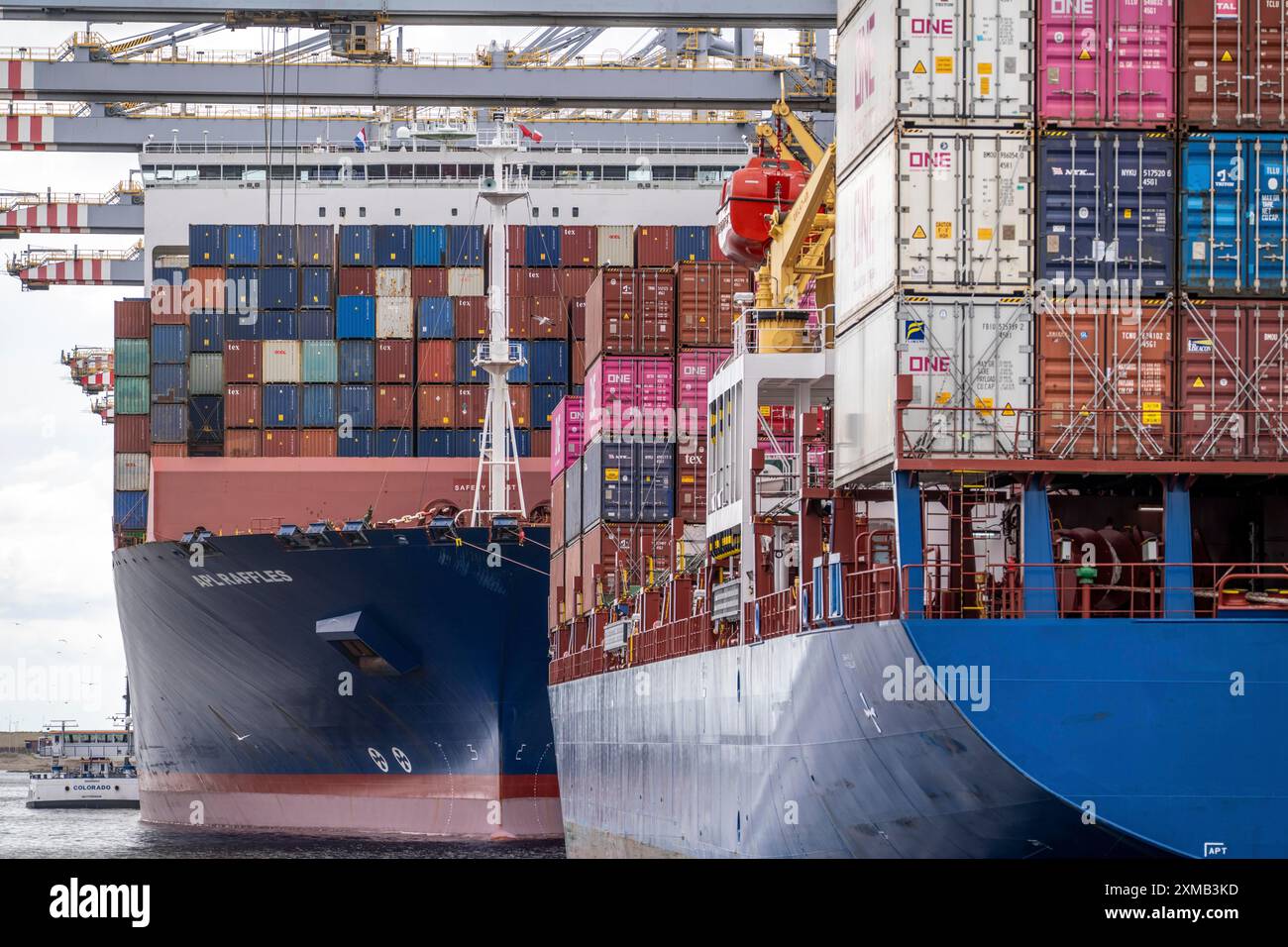 RWG Containerterminal, Seehafen Rotterdam, Containerfrachter werden be- und entladen, Tiefseehafen Maasvlakte 2, auf künstlichem Land Stockfoto