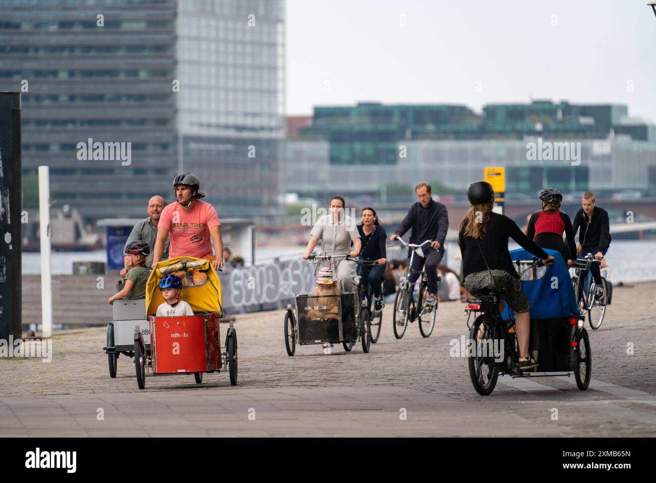 Radfahrer auf der Bryggebroener Rad- und Fußwegsbrücke über den Hafen, Sydhavnen, Kopenhagen, gilt mit 45 % als die Fahrradhauptstadt der Welt Stockfoto