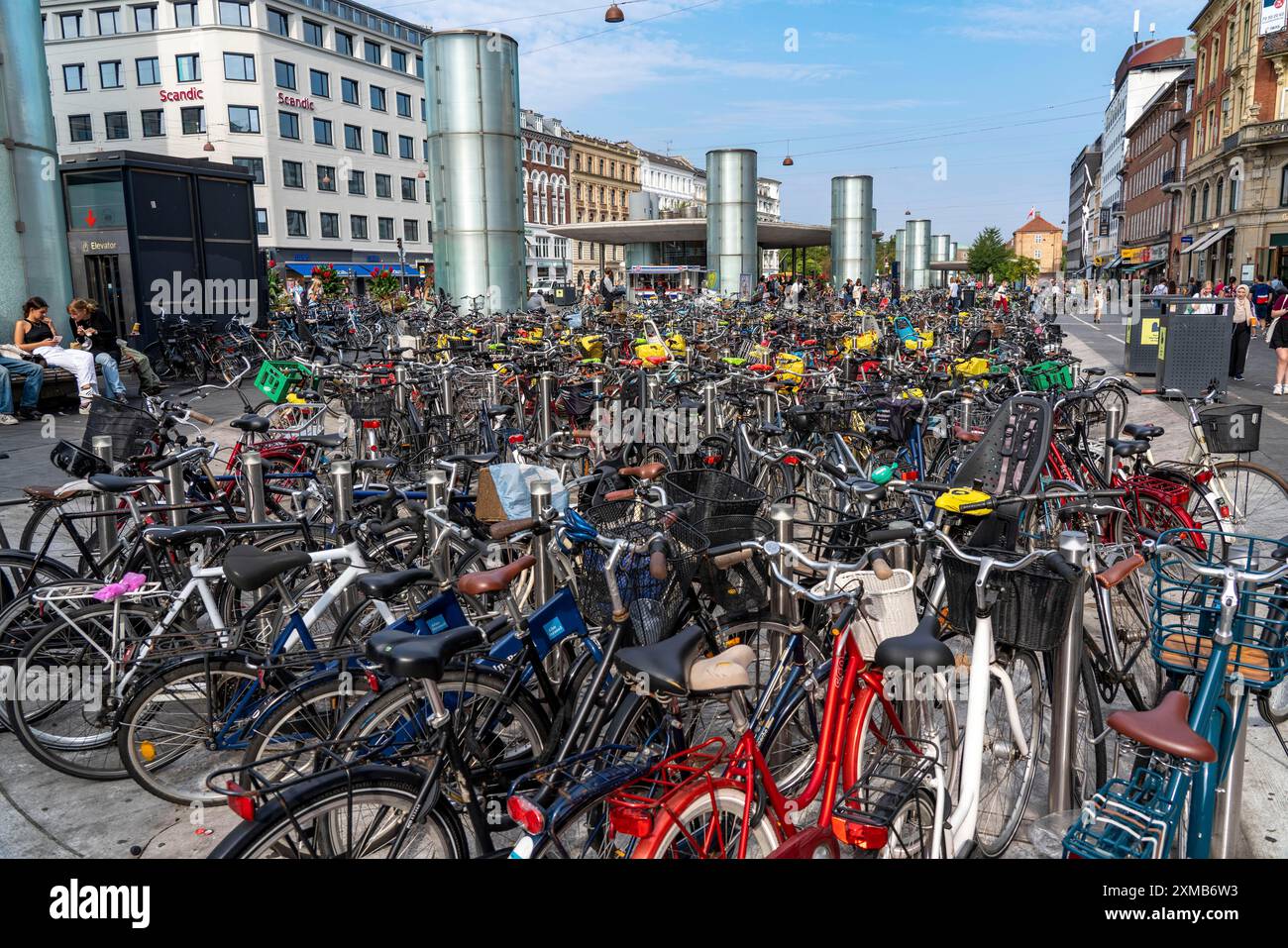 Fahrradparkplatz, U-Bahn-Station Norreport, im Stadtzentrum von Kopenhagen, gilt als Fahrradhauptstadt der Welt, 45 % der Einwohner Stockfoto