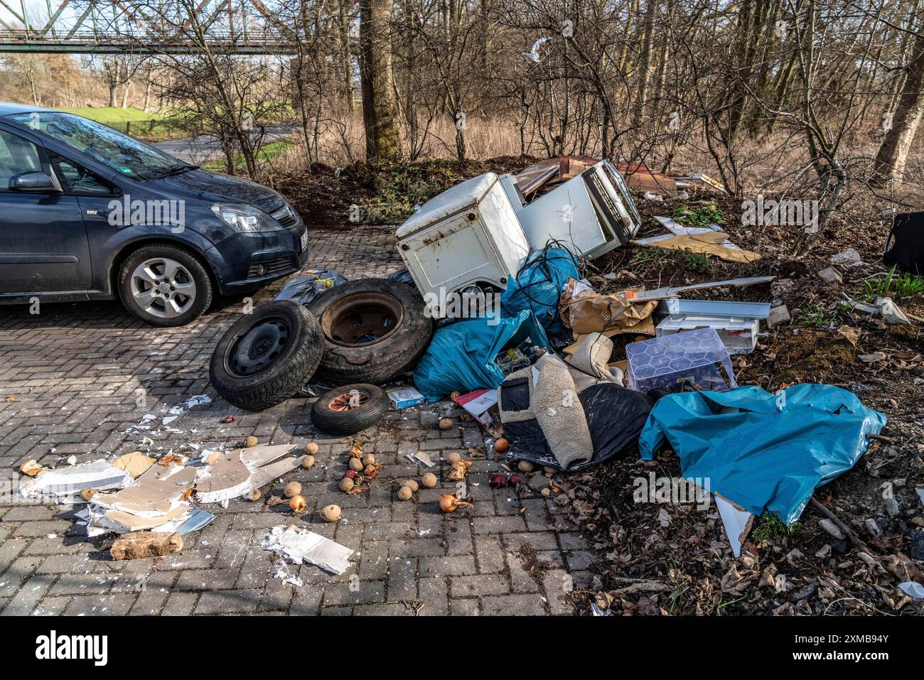 Illegale Abfallentsorgung auf einem Parkplatz, in einem bewaldeten Gebiet, Reifen, Möbel, Kühlschränke, Hausmüll, Ölkannen, Oberhausen Nord Stockfoto