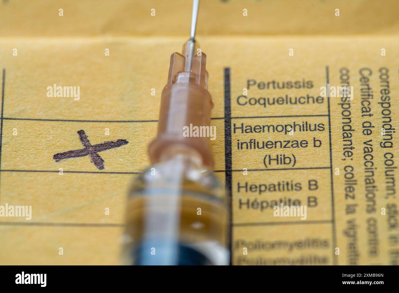 Impfheft, Impfung gegen Haemophilus-Influenza Typ B (Hib), den häufigsten Erreger, der bei Kindern bis 5 Jahren eitrige Meningitis verursacht Stockfoto