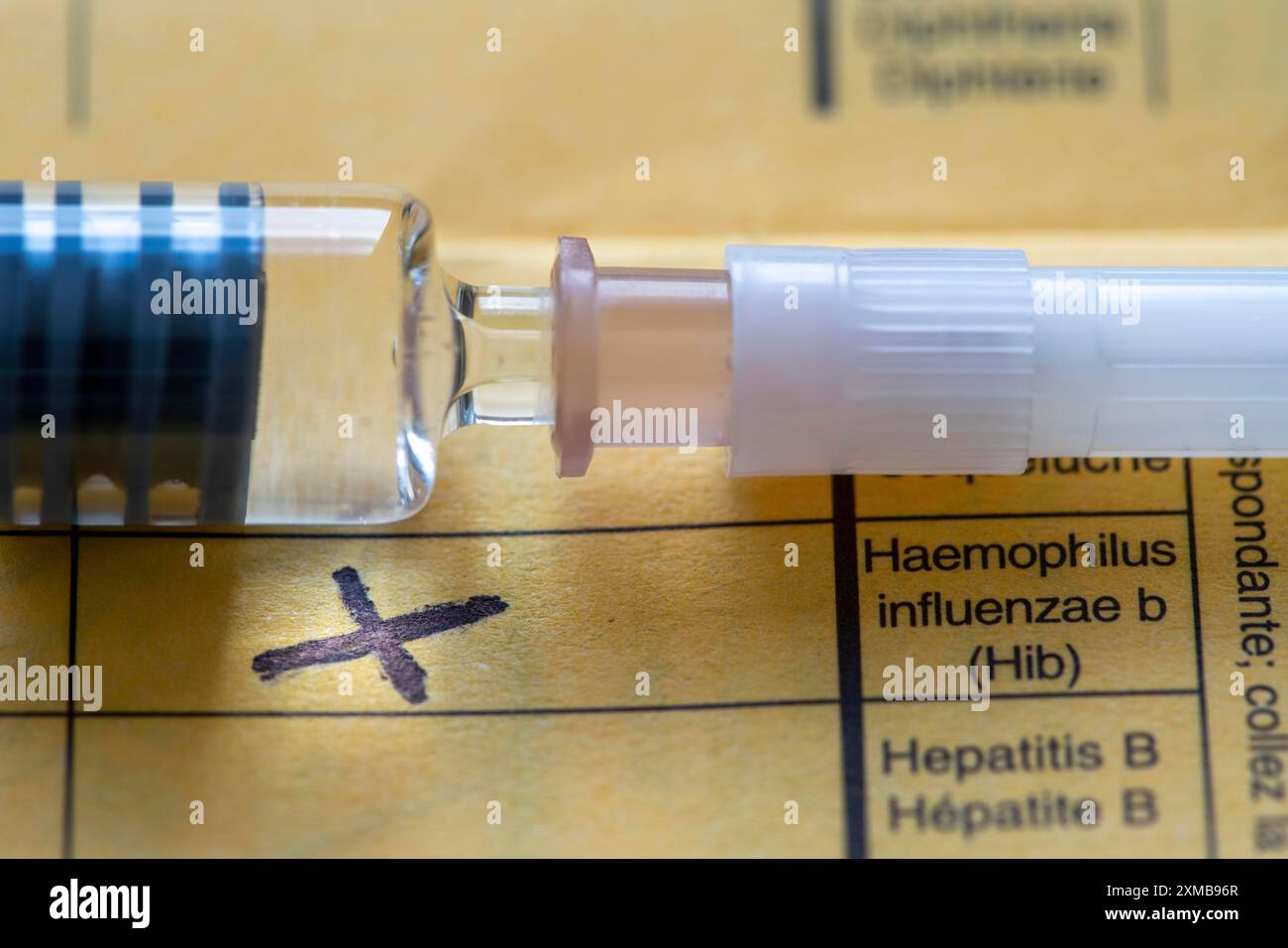 Impfheft, Impfung gegen Haemophilus-Influenza Typ B (Hib), den häufigsten Erreger, der bei Kindern bis 5 Jahren eitrige Meningitis verursacht Stockfoto