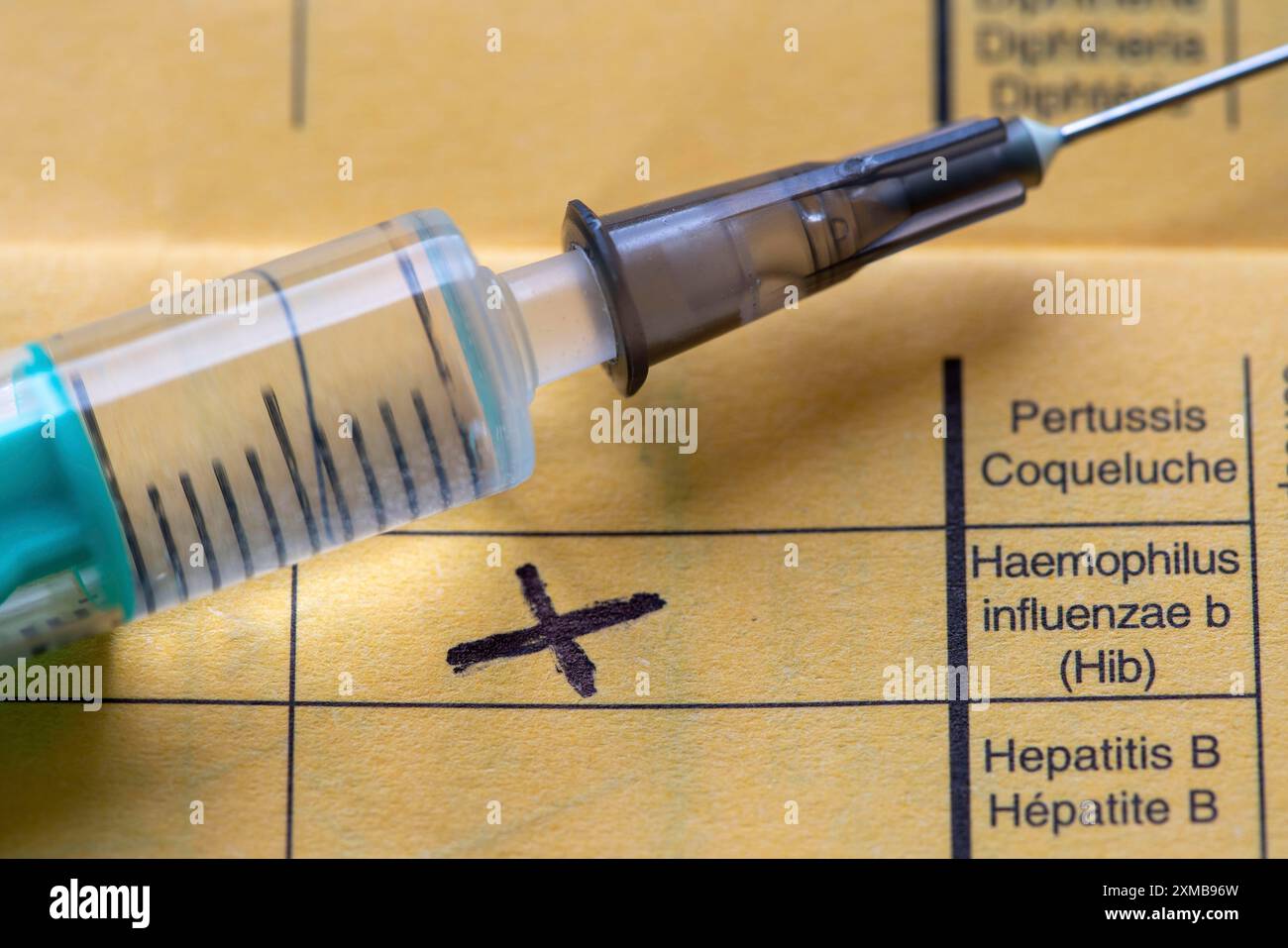 Impfheft, Impfung gegen Haemophilus-Influenza Typ B (Hib), den häufigsten Erreger, der bei Kindern bis 5 Jahren eitrige Meningitis verursacht Stockfoto