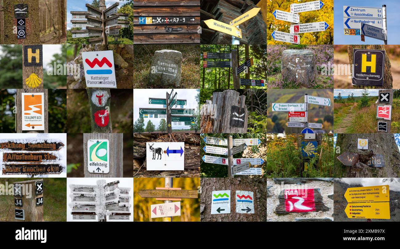 Sammlung von Wanderzeichen, Wanderwegen, Wegweiser von Wandertouren, Tourensymbole meist auf Bäumen oder auf Schildern, Wegweiser, Deutschland Stockfoto