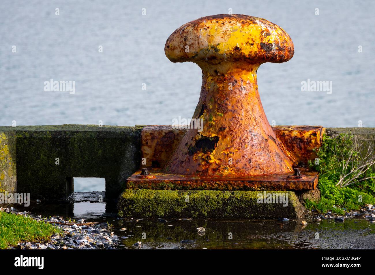 Schiffspoller, Miramar Wharf, Evans Bay, Wellington, Nordinsel, Neuseeland Stockfoto