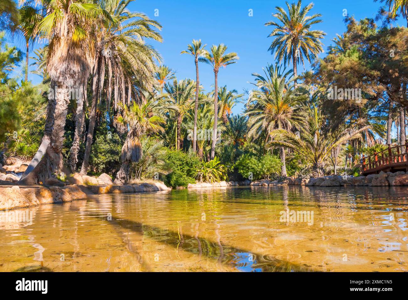 Parc El Palmeral, Alicante, Spanien Stockfoto