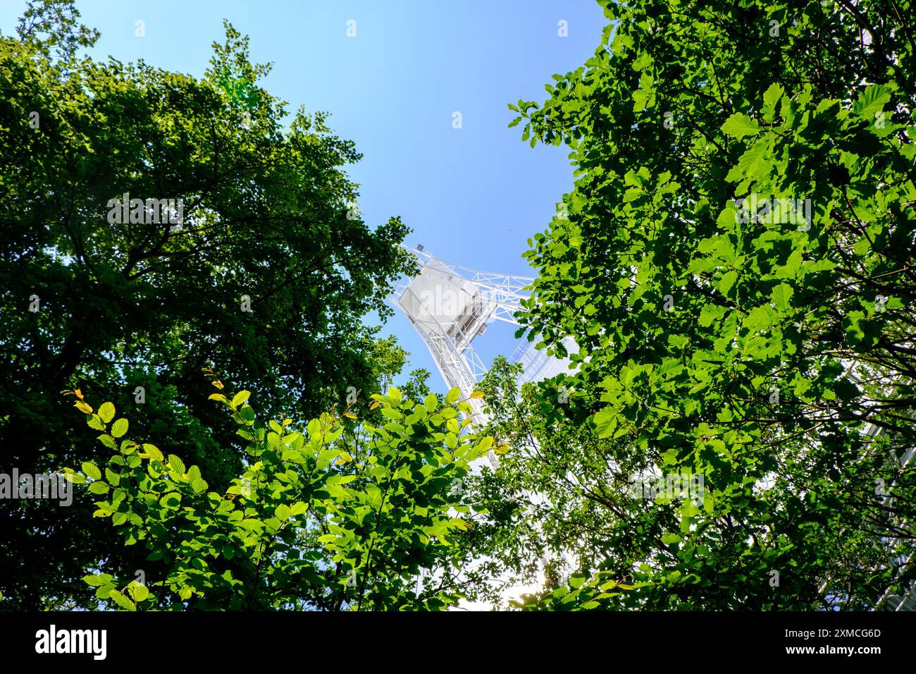 Details eines riesigen wissenschaftlichen Radioteleskops, gesehen durch grünes Laub. Stockfoto