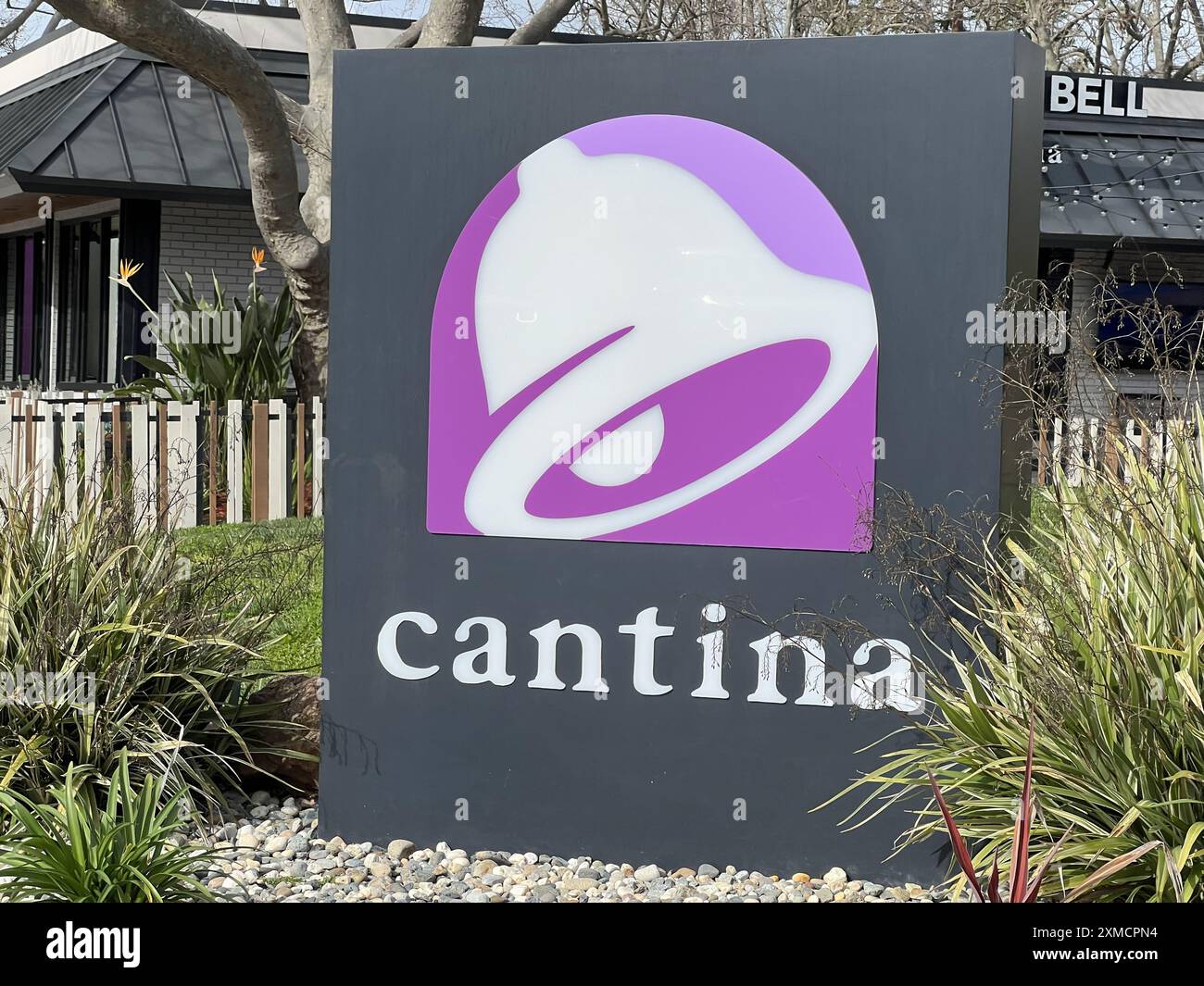 Usa. März 2024. Beschilderung für das Restaurant Taco Bell Cantina mit stilvollem Taco-Logo in landschaftlich gestalteter Umgebung, Danville, Kalifornien, 11. März 2024. (Foto: Smith Collection/Gado/SIPA USA) Credit: SIPA USA/Alamy Live News Stockfoto
