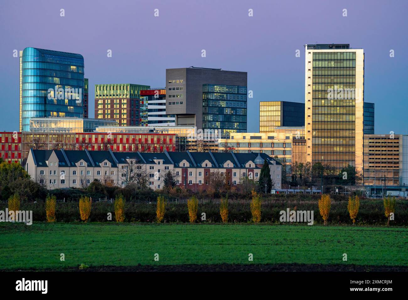 Skyline der Häuser im Medienhafen, davor Wohnhäuser im Stadtteil Hamm, Düsseldorf, Nordrhein-Westfalen Stockfoto