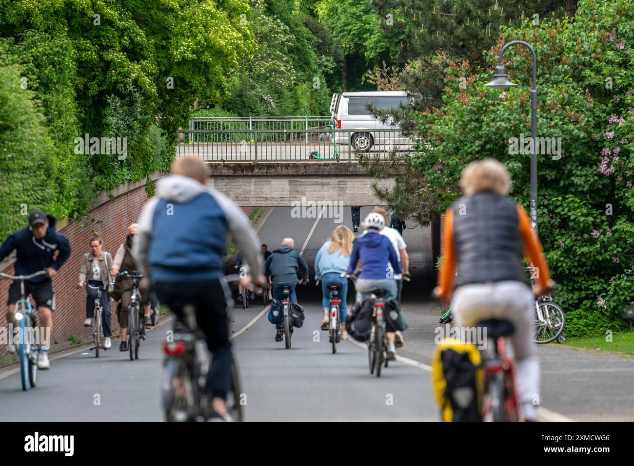 U-Bahn auf dem Radweg Promenade, baumgesäumt, autofrei, rund 4,5 km lange Ringstraße rund um das Stadtzentrum von Münster, Nord Stockfoto