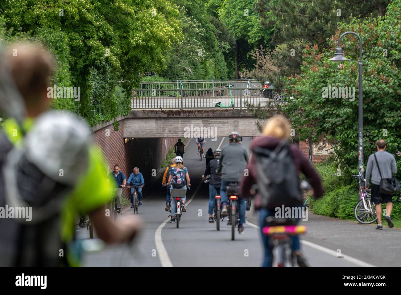 U-Bahn auf dem Radweg Promenade, baumgesäumt, autofrei, rund 4,5 km lange Ringstraße rund um das Stadtzentrum von Münster, Nord Stockfoto