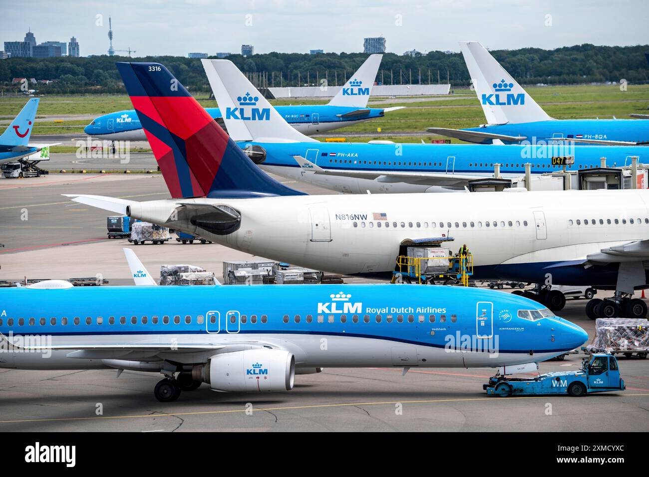 Flughafen Amsterdam Schiphol, Flugzeug am Terminal, Gates D, Check-in, Vorfeld, Amsterdam, Niederlande Stockfoto