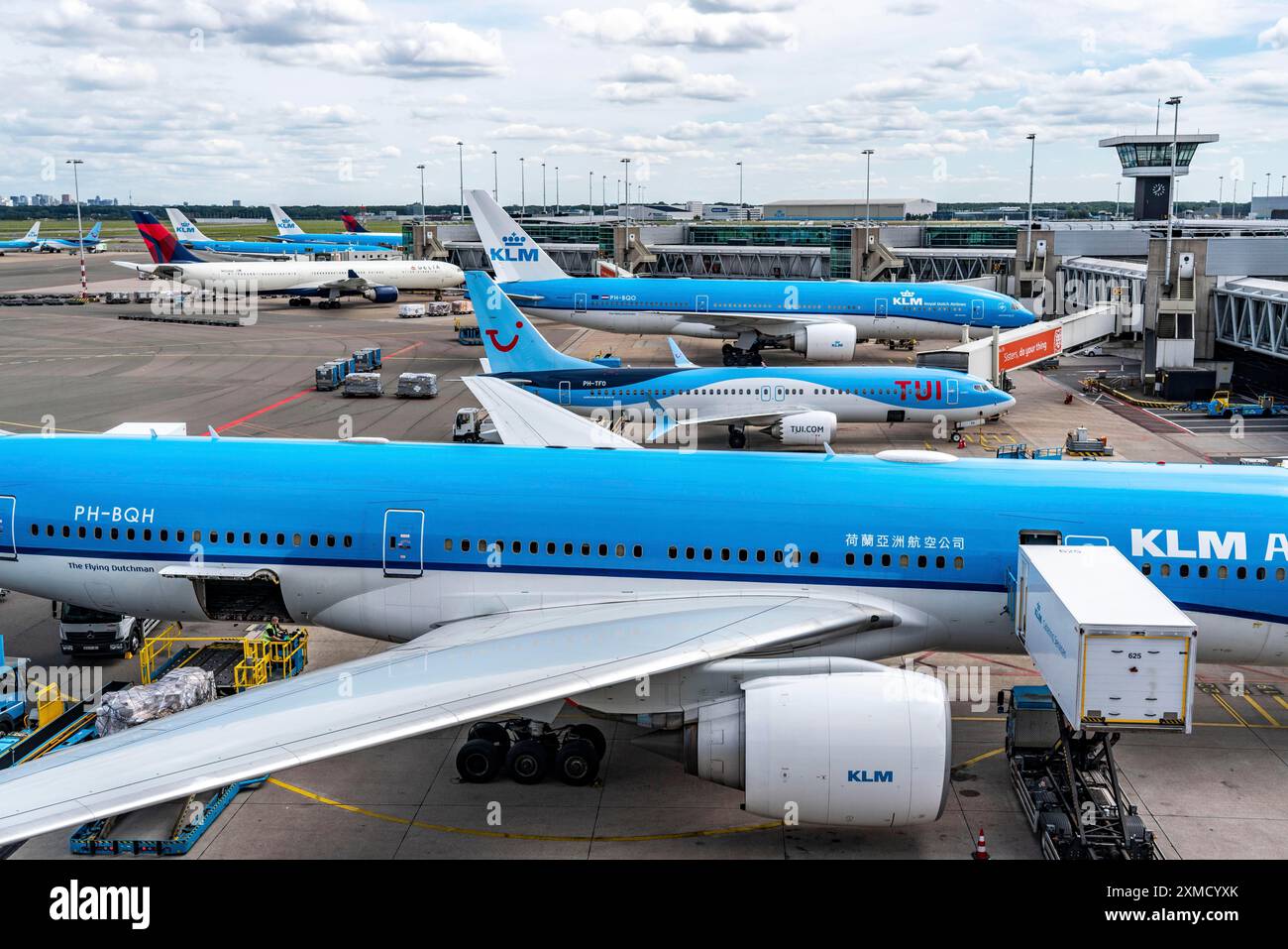 Flughafen Amsterdam Schiphol, Flugzeug am Terminal, Gates D, Check-in, Vorfeld, Amsterdam, Niederlande Stockfoto