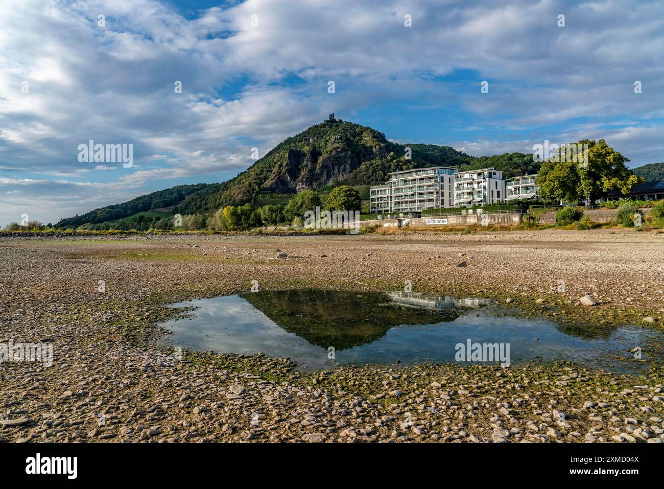 Der Rhein bei extrem niedrigem Wasser, bei Bad Honnef Rhoendorf, unterhalb des Drachenfels, Insel Nonnenwerth, Trockenufer des Rheins, Norden Stockfoto