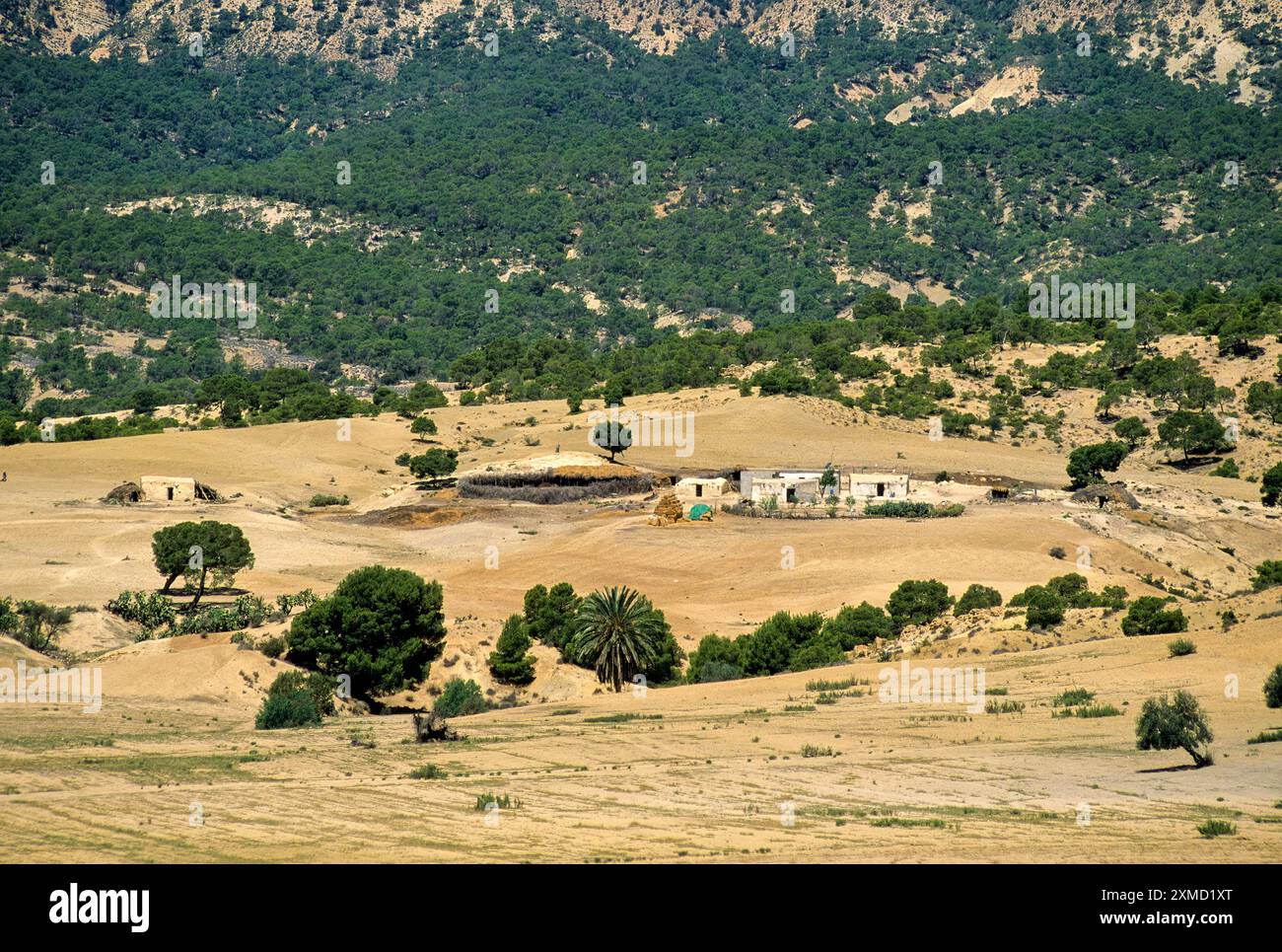 Tunesien, Le Kef.   Tunesische Landschaft und Hof gegenüber Hammam Mellegue, Römerzeit Bäder. Stockfoto