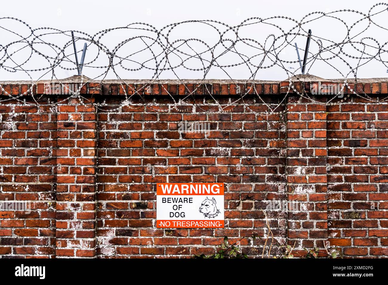 Firmengelände, Wand mit Stacheldrahtrollen gesichert, Wegweiser für Wachhund auf dem Gelände Stockfoto