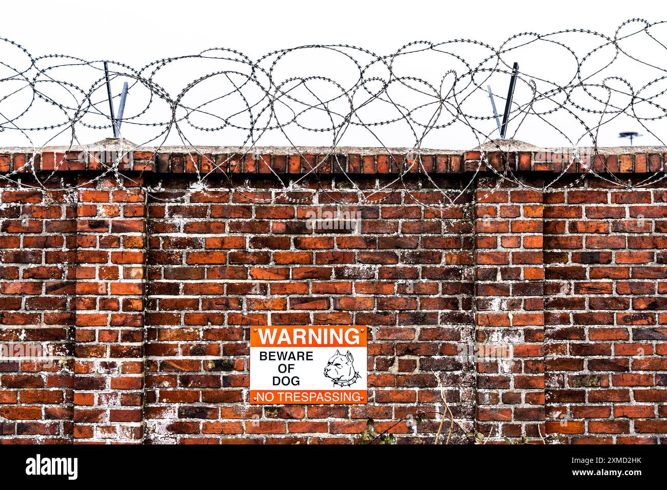 Firmengelände, Wand mit Stacheldrahtrollen gesichert, Wegweiser für Wachhund auf dem Gelände Stockfoto