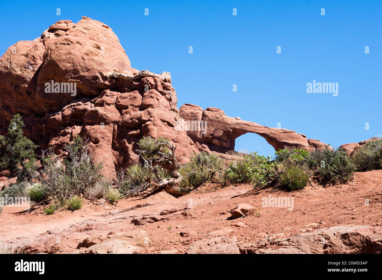 Blick auf den Skyline Arch im Arches National Park - Moab, Utah, USA Stockfoto