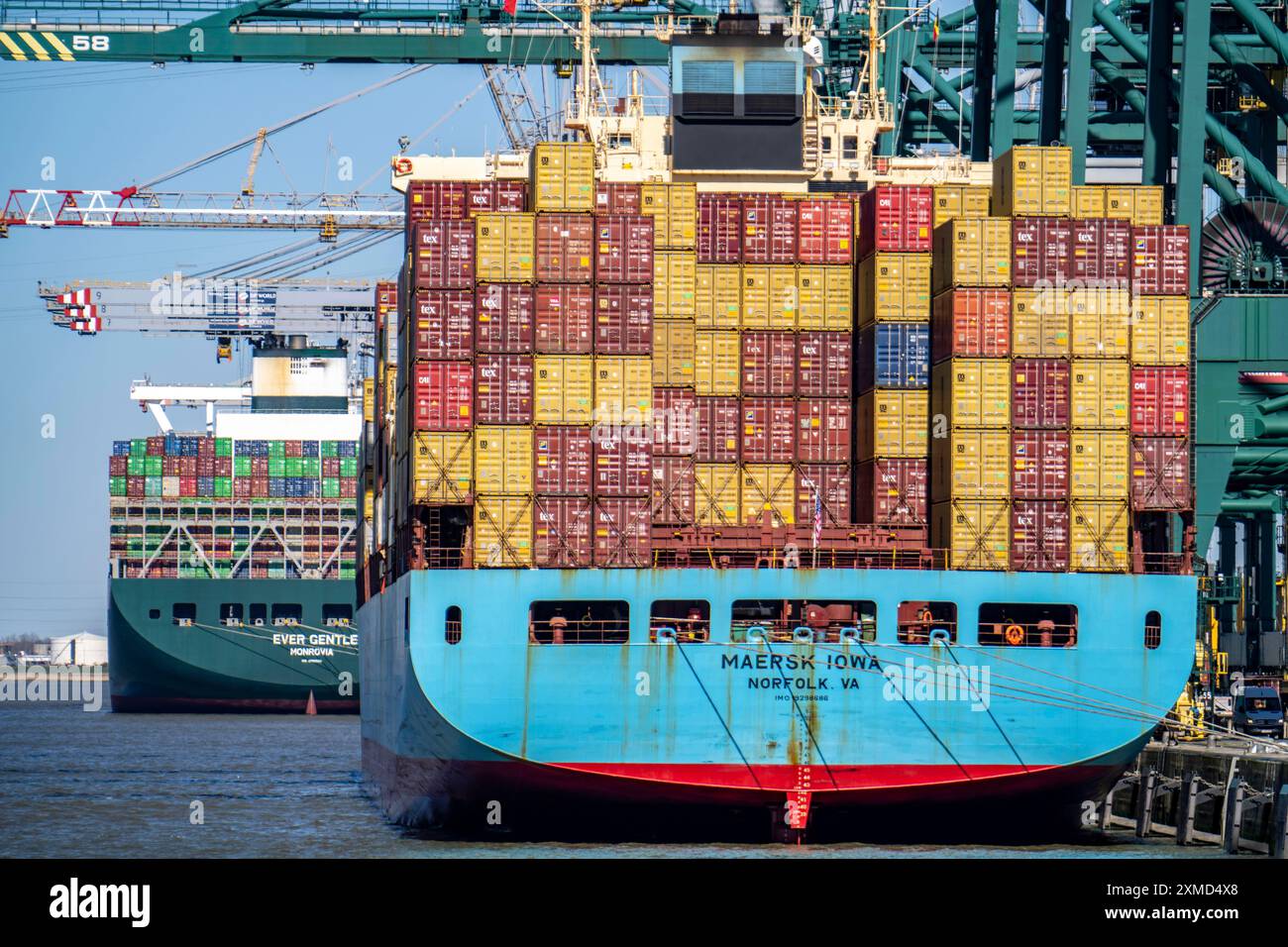 Der Hafen Antwerpen an der Schelde ist der zweitgrößte Seehafen Europas, der Containerhafen DP World Antwerp Gateway Quay in Flandern, Belgien Stockfoto