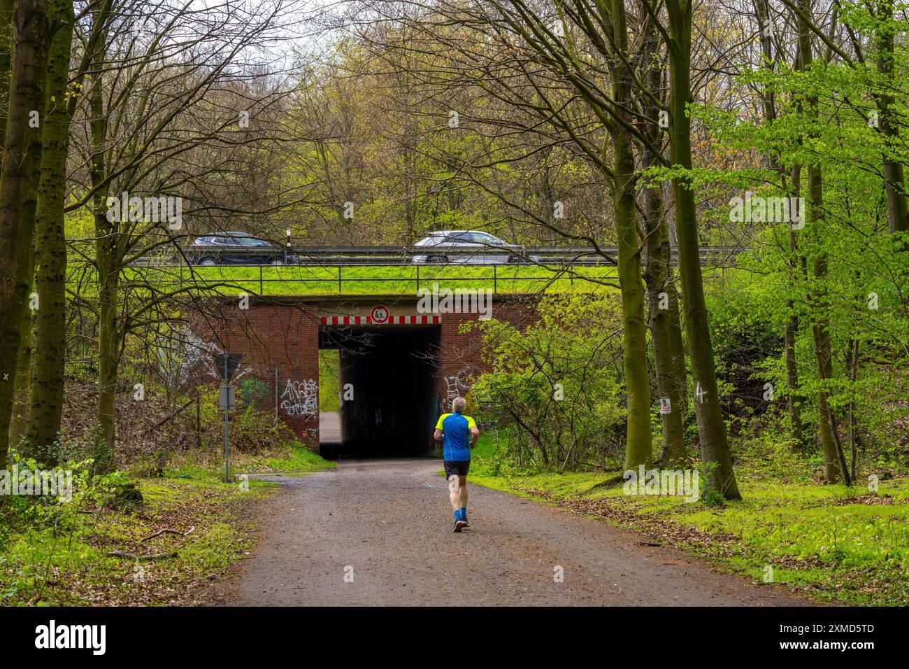 Der Sterkrader Wald in Oberhausen, am Autobahndreieck Oberhausen, wo die A2/A3A/A516 aufeinander treffen, soll auf 11 Hektar Wald erweitert werden Stockfoto