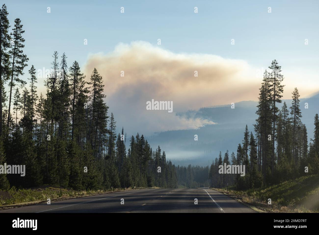 Eine Straße mit einer großen Rauchwolke in der Entfernung von einem Waldbrand. Der Himmel ist blau und die Bäume sind grün und es gibt starken Rauch in der Luft. Stockfoto