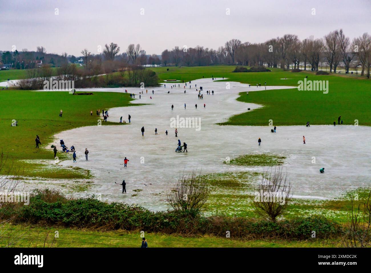 Die Rheinwiesen bei Düsseldorf-Niederkassel, Eisbahnen nach Hochwasser, durch aufsteigendes Grundwasser hinter dem Rheindeich, Winterspaß, Schlittschuhlaufen Stockfoto