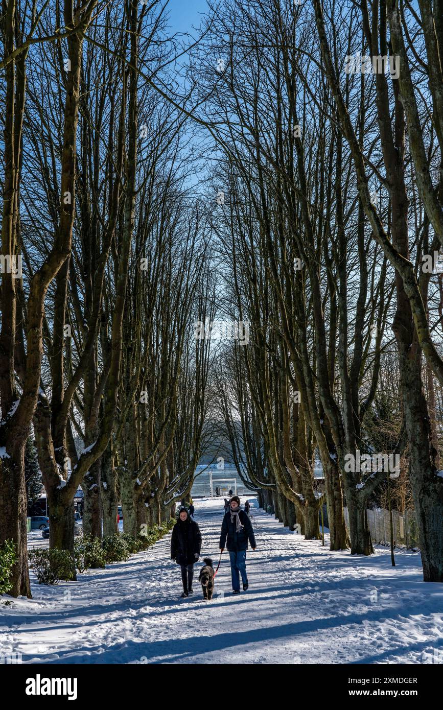 Winter im Ruhrgebiet, Baldeney-See, schneebedeckter, teilweise gefrorener See, baumgesäumte Uferallee, lido-Anlegestelle, Essen, Norden Stockfoto