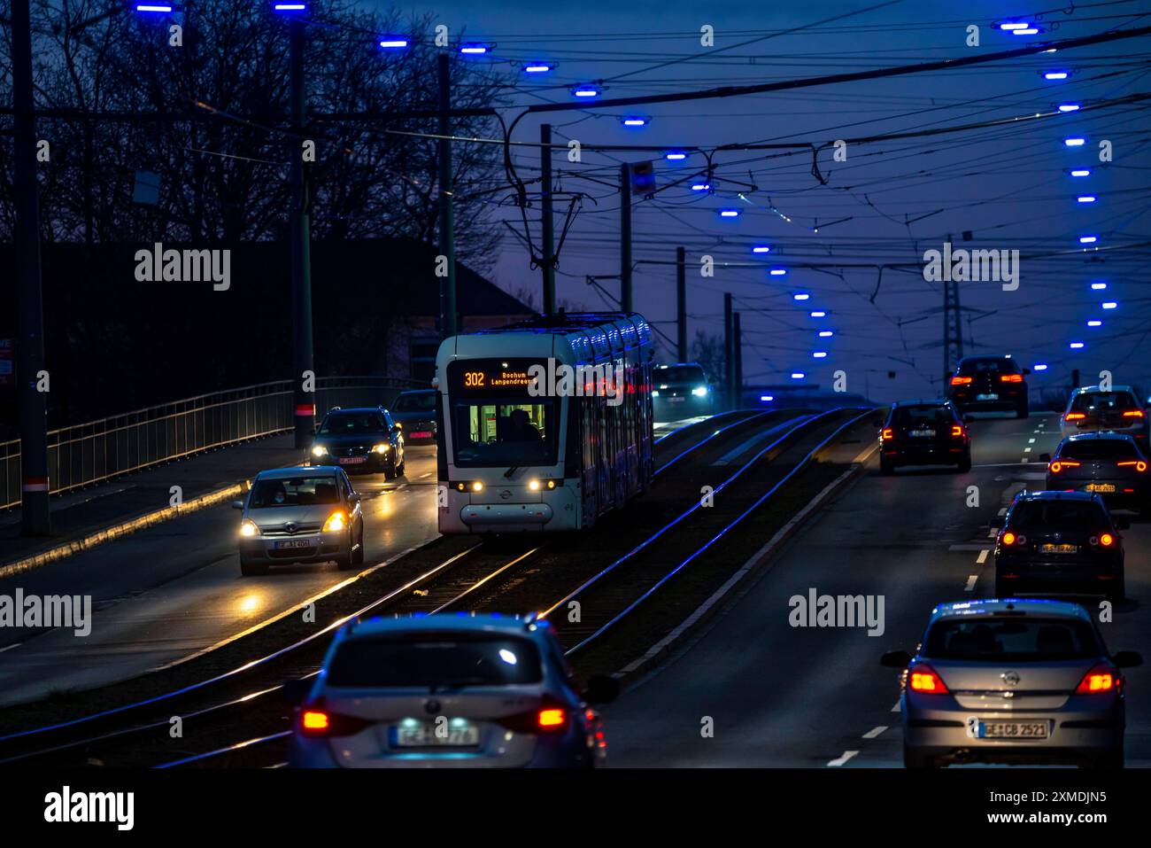 Das Blaue Band, eine Lichtinstallation entlang der Kurt-Schumacher-Straße in Gelsenkirchen Schalke, 2,7 km lang, organisiert vom Schalker Markt Stockfoto