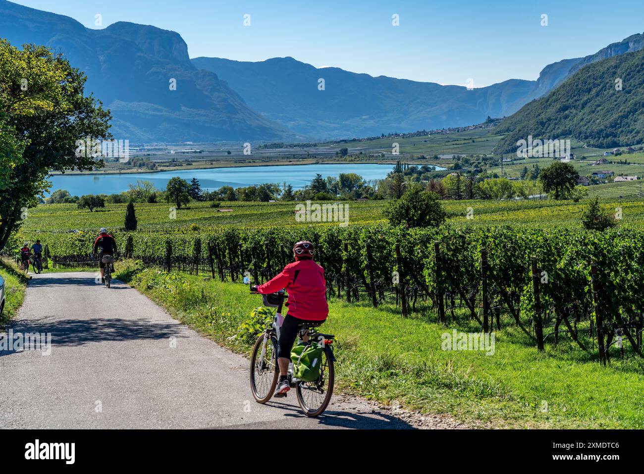 Radweg durch die Weinbaugebiete Südtirols, bei Kaltern an der Weinstraße, kurz vor der Traubenernte, dem Kalterer See Stockfoto