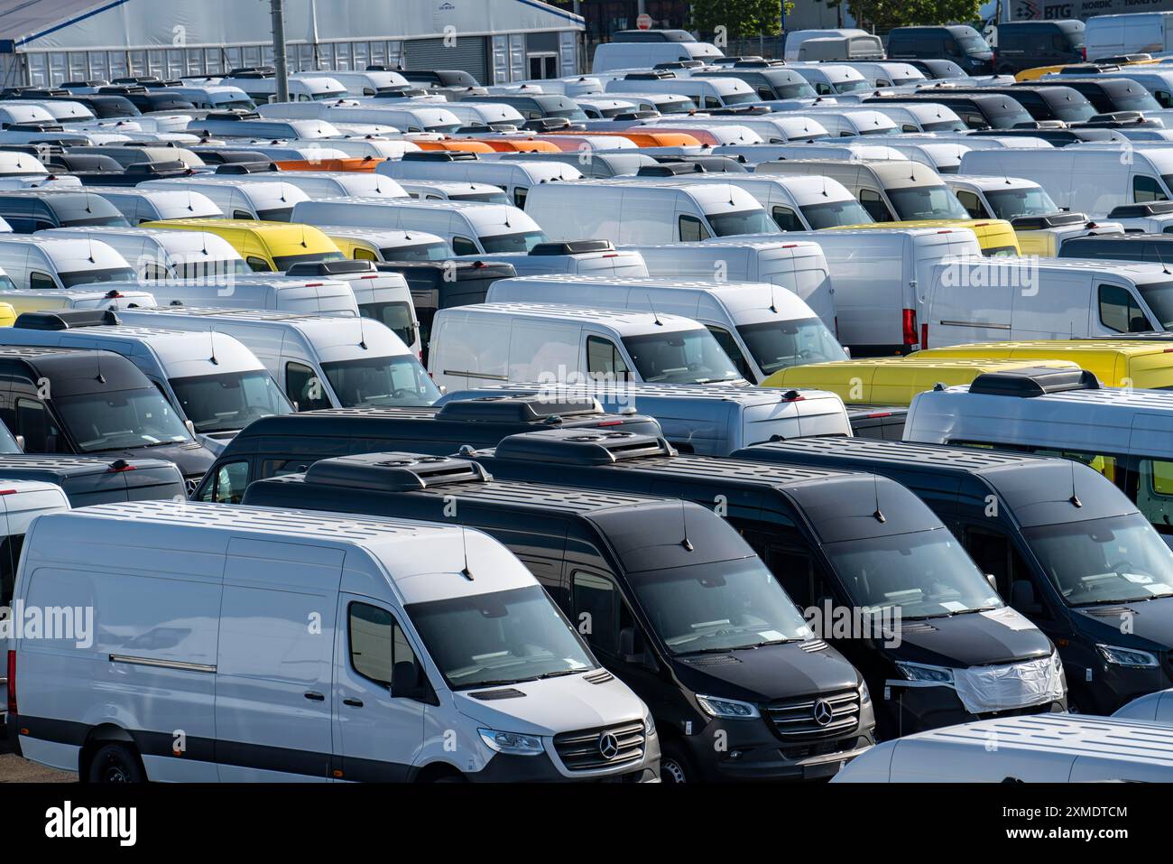 Autoterminal im Binnenhafen Logport I, Duisburg am Rhein, Fahrzeugabfertigung von Neuwagen, Lieferwagen, Mercedes-Benz Sprinter, Lagerraum, Nord Stockfoto