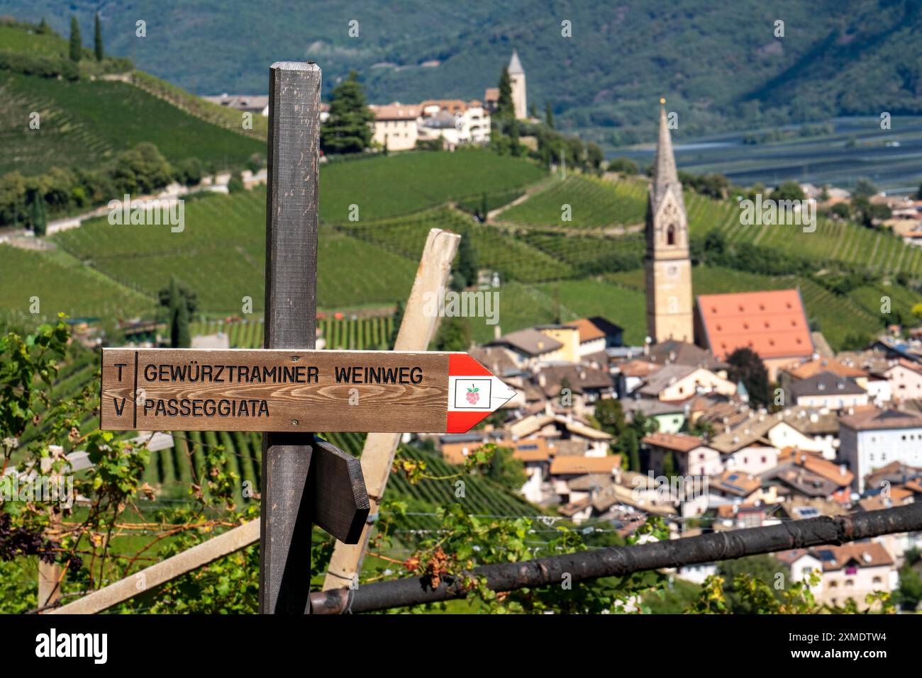 Wanderweg Wegweiser zum Gewuerztraminer Weinweg, Rundtour durch die Weinberge oberhalb des Dorfes Tramin, an der Südtiroler Weinstraße Stockfoto