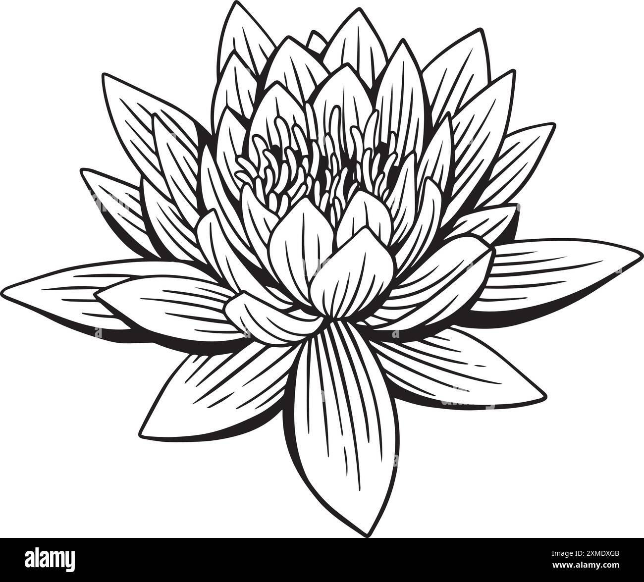 Rosidy Detailed Floral Lineart 16 Stock Vektor