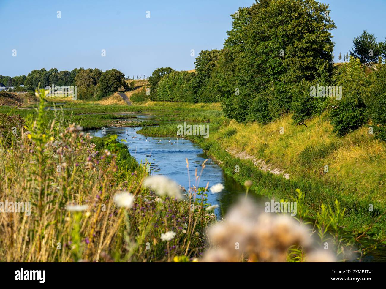 Emscherland, ein neuer Natur- und Wassererlebnispark am renaturierten Emscher, an der Wasserquerung der Emscher mit dem Rhein-Herne-Kanal Stockfoto