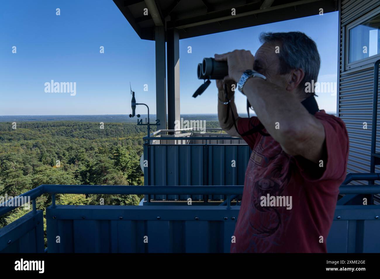 Brandwachturm auf dem Rennberg, bei Flaesheim, Haltern am See, im Haard-Waldgebiet, einer von 3 Brandwachtürmen in der Region, bemannt von Stockfoto