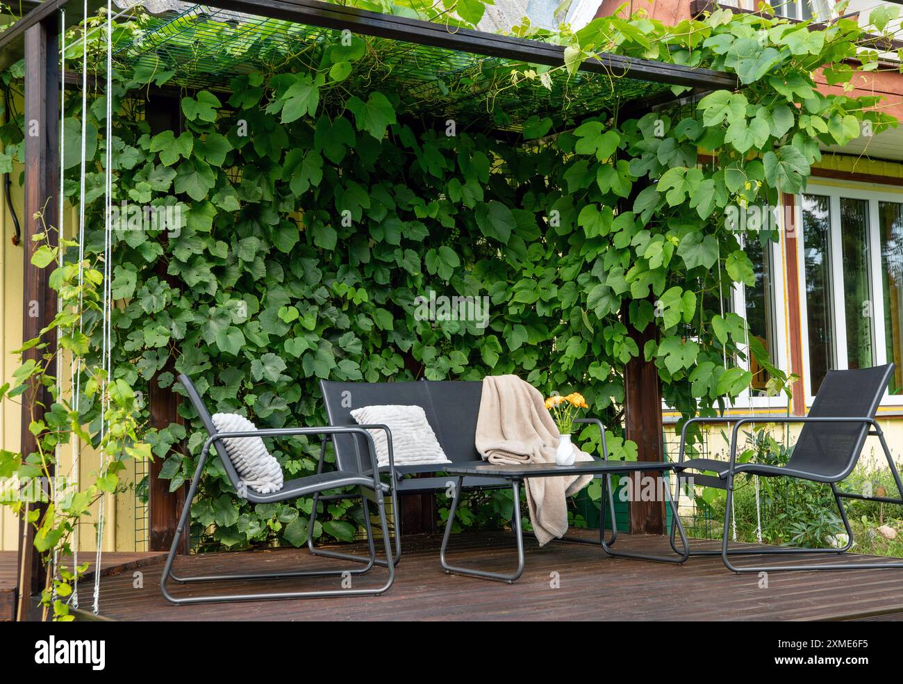 Hausgemachte Holzpergola mit Weinreben an der Rückwand, schwarze Gartenmöbel-Set, Vase mit orangen Blumen. Üppiges Sommergrün. Stockfoto